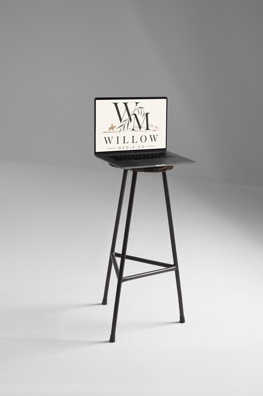 Willow Media Co. framed print on a stool